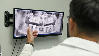 dentist reviewing x-rays at All Smiles Dental